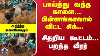 பாய்ந்து வந்த காளை... பின்னங்காலால் விட்ட கிக்-சிதறிய கூட்டம்... பறந்த வீரர் - அதிர்ந்த அவனியாபுரம்