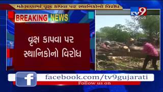 Mehsana: Residents stage protest against cutting down of trees for construction of swimming pool