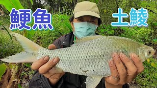 休假就是要野釣一下 水庫阿福不咬 大鯁魚狂咬  土鯪 三斤上