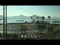 面白可愛い寝姿モモさん u0026おまけ動画　【ミニチュアダックスフンド 】