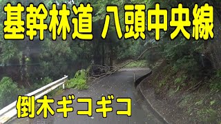 r40 ⇒ 基幹林道 八頭中央線  倒木あり 鳥取県八頭郡智頭町智頭 ⇒ 八頭町下野