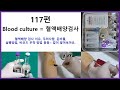 117편 blood culture (혈액배양 검사)