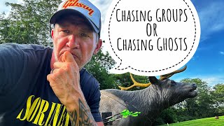 Are you chasing GROUPS or GHOSTS? Truth about Arrows 2!