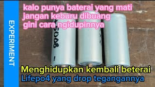 Menghidupkan kembali baterai lifepo4 yang mati tegangan drop