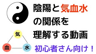 初心者さん向け！陰陽と気血水の関係を分かりやすく知る動画♯126