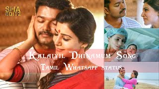 kalayil Dhinamum Song whatsapp status|Vijay|Samantha|Tamil whatsapp status|Husband wife Love status|