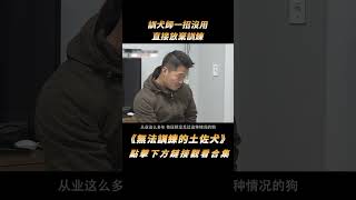 見到全球五大猛犬，訓犬師一秒放棄訓練，直言這次算了，下次一定#shorts