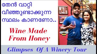 Wine Made From Honey | തേനിൽ നിന്നും വൈൻ ഉണ്ടാക്കുന്നത് ഇങ്ങനെയാണ് .#Canada explore