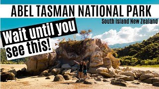 Abel Tasman National Park |  A MUST DO!!! NELSON NEW ZEALAND VLOG #8