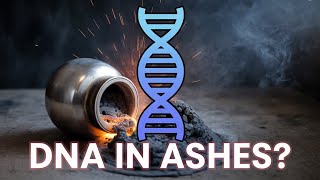 “Can Human Ashes Be Tested for DNA?