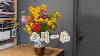 【大叔说花】每周一花73洋姜花，百日草田园风，家庭装饰瓶插鲜花！