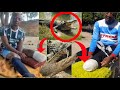 A man from Norton (Felix Musoni) survived from crocodile🐊 attack, Inzwai achitaura zvizere😭💔