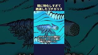 眼に特化しすぎて絶滅したゴチカリス #shorts  #いきもの #ゆっくり解説