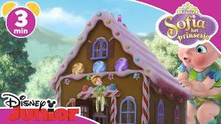 Sofia het Prinsesje | Reuze baby | Disney Junior NL