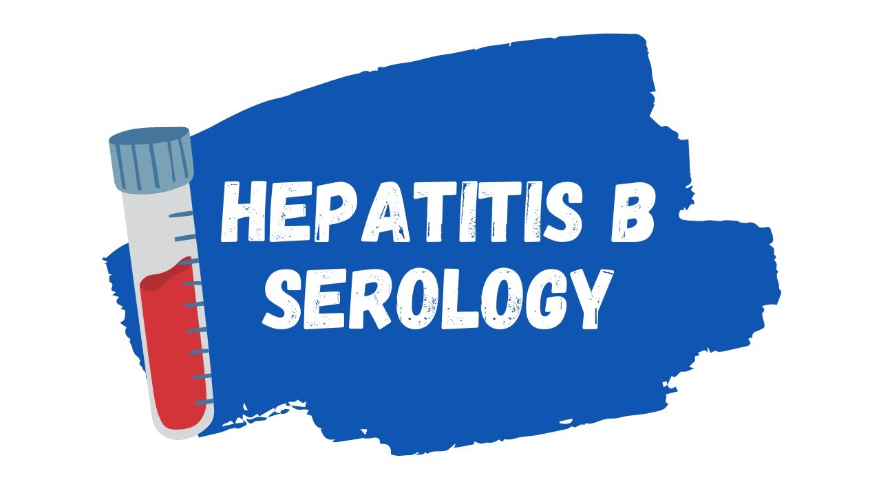 Hepatitis B Serology Made Simple | HIGH-YIELD - YouTube