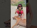 Kritika Dog Lover ❤️#Kritikachannel#Shorts#dog#love#viral#trending#ytshorts