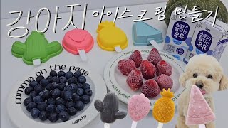 𝙑𝙇𝙊𝙂 | 더운 여름 강아지 아이스크림 만들기