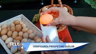 Cum verificăm ouăle dacă sunt proaspete