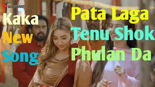 Pata Laga Tenu Shok Phulan Da | Rutan KAKA New Love Song |  Afsha Khan | Hindi Love Story |@SK_Satendra_Music
