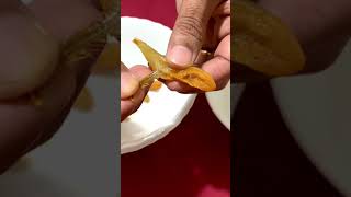 നത്തോലിയുടെ മുള്ള് എങ്ങനെ കളയാം | Natholi Fillet | Anchovy Fry | നത്തോലി ഫ്രൈ #natholi  #anchovyfry