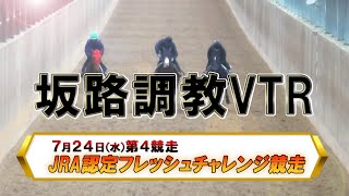 【2024坂路調教映像】7/24（水）　第4競走　JRA認定フレッシュチャレンジ競走