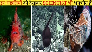 दुनिया के सबसे अजीबोगरीब और विचित्र मछलियां| Most Unique Rarefish In The World