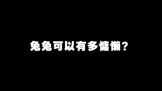 兔兔可以有多慵懶? | 幣寶日常 ChampKnows【冠軍知道】