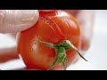 Delia's Techniques - How to Skin and De-seed Tomatoes