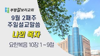 240908 부평갈보리교회 주일대예배 설교말씀