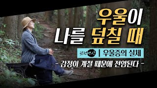 우울증의 실체▶ 우울이 나를 덮칠때 ▶ 계절성 우울감 감정의 변화,  감정적 스트레스에서 벗어나는 법. 생겨난 것은 반드시 사라진다. 🛎️ [법문13분]