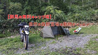 【群馬の無料キャンプ場】自然の森野営場は動物がイッパイ…　20230901