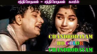 EVERGREEN MGR SUPERHIT SONG CHANDRODHAYAM சந்திரோதயம் ஒரு பெண்ணானதோ