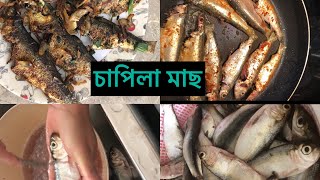 how i clean capila fish,কিভাবে এত সহজ করে চাপিলা (সিলেটি হুগা )মাছ পরিস্কার করলাম.