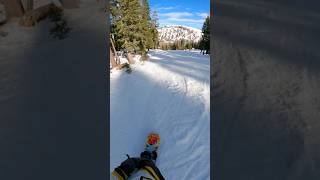 Kirkwood: Run 1 Day 11 Season 23/24 / #snowboard