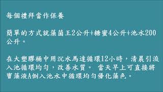 釣場水質與藻色改善，速速恢復好釣況