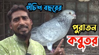 ইকুরিয়া ক্লাবের চ্যাম্পিয়ন আজাদ ভাইয়ের কবুতর