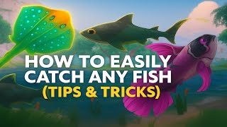 How to Easily Catch Any Fish in Palia | Tips & Tricks Fishing Guide