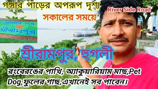 হুগলির শ্রীরামপুরের গঙ্গার পাড় বরাবর রাস্তার অপরূপ সৌন্দর্য 🏕️👌সকালের সময়ে 🤷 দেখলে মন ভরে যাবে 🔥🔥