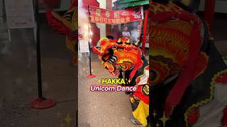 Hakka Unicorn Dance | Hakka Qilan 🦄❤️✨ #shorts #hakka #chinese #chineseculture