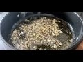 easy shellfish mussels in beer recipe