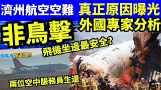 #濟州航空 專家解構墜機原因 發生鳥擊事件機率頻繁  #濟州航空墜毀 #濟州航空死傷 #JEJUAir #JEJU #南韓 #제주항공    Smart Travel《娛樂新聞》東張西望