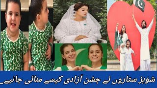 pakistani celebrities celebrating 14 August || Actors pictures on Independence Day