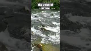 ASMR ASMR Relaxation.the voice of nature