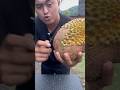 Durian gunul tanpa duri #doniartawan