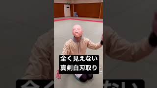 全く見えない真剣白刃取り