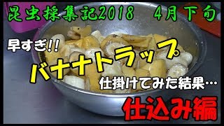 【昆虫採集記2018】いきなりバナナトラップ仕掛けてみた!!仕込み編【4月下旬前編】