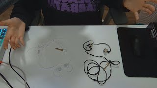 New generation of budget IEMs - Comparison of the Truthear Gate and the Tangzu Waner Studio