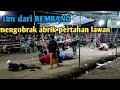 ANAK JAHAT tegalan vs LODAYA rembang (win) - tarik tambang krengih