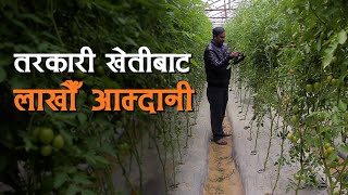 तरकारी खेतीबाट लाखौ आम्दानी #krishi #agriculture #kisan