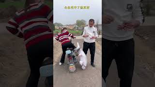 心急吃不了热豆腐 #佳宝爱搞笑#劇情#生活#shorts